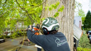 ABD_nz87714_Klokkenberg_LR_19