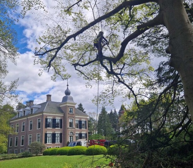 Landgoed Leuvenum.jpg
