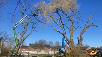 Afbeelding van WhatsApp op 2025-03-19 om 12.33.11_942c99e6