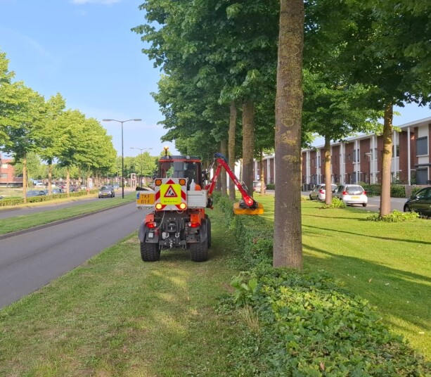 Afbeelding van WhatsApp op 2025-06-13 om 15.30.13_b16a1f10