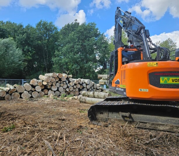 Rupskraan hout