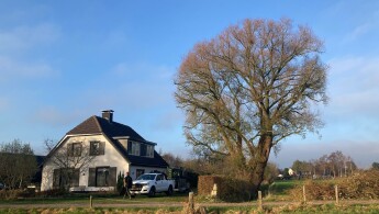Afbeelding van WhatsApp op 2025-11-26 om 14.59.00_fe7ce840