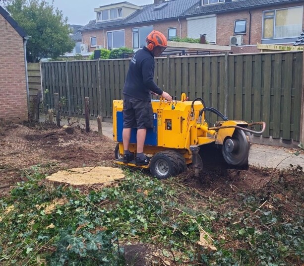 Stobbe frezen met compacte Herder stobbenfrees